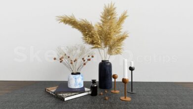 16165. Free Sketchup Decorative Set Model Download (1)
