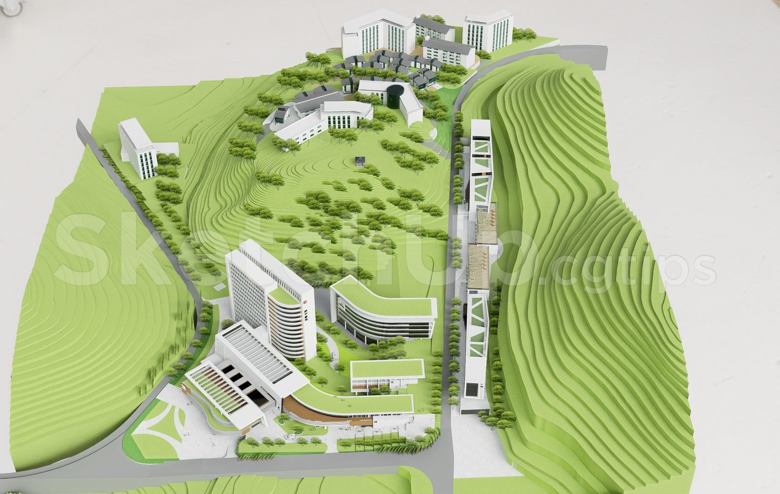 20518. تحميل مجاني للخطة الرئيسية Sketchup 3D لمشروع المستشفى (1)