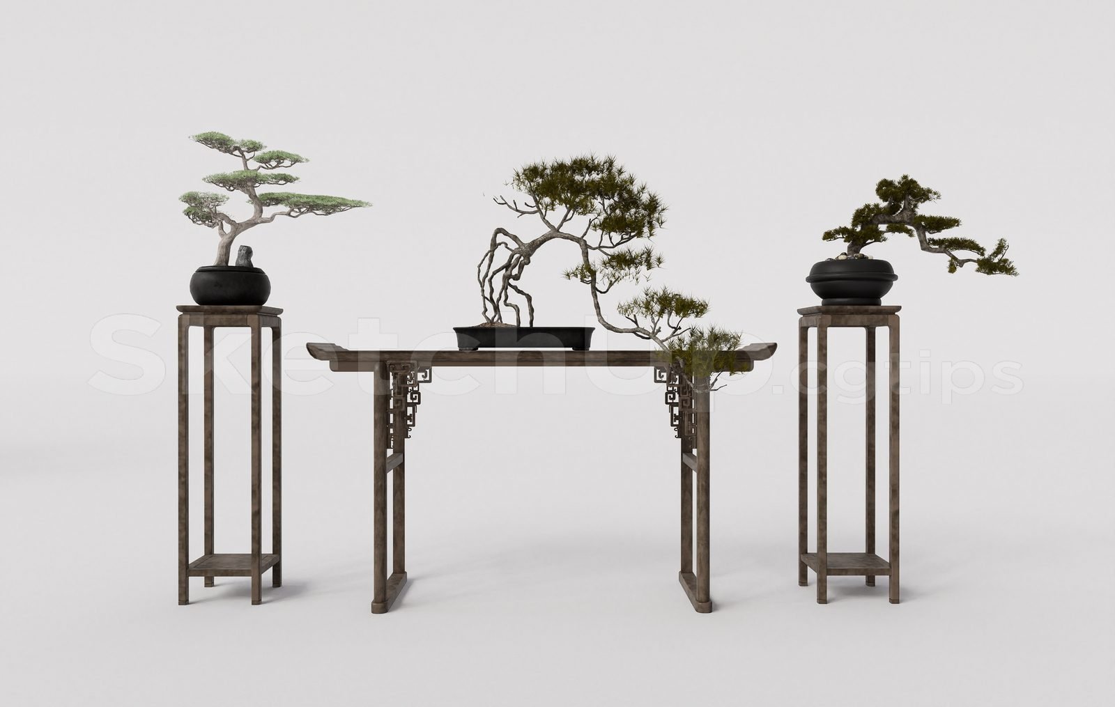 16774. Sketchup Bonsai Tree Model Download (1)