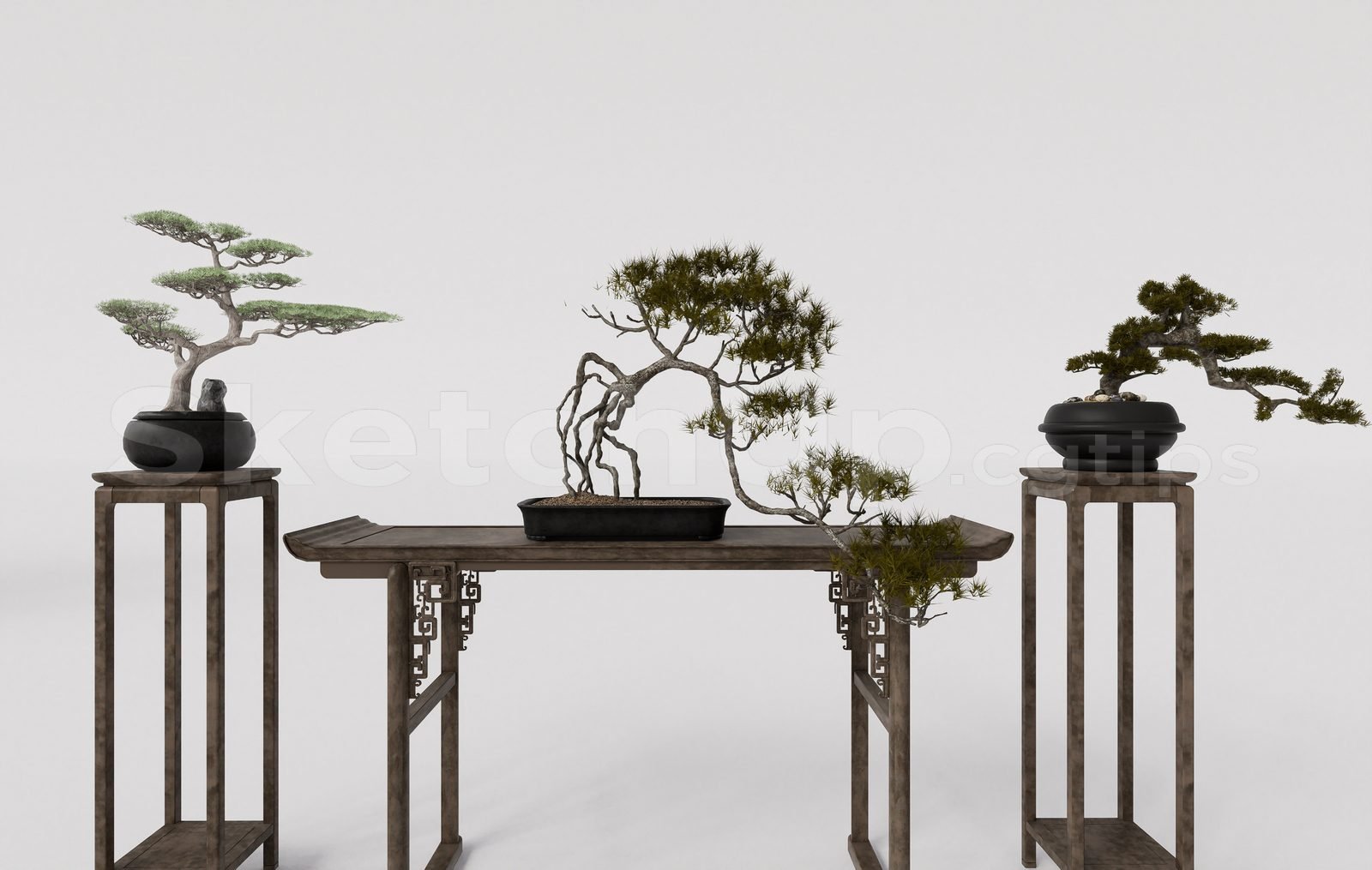 16774. تنزيل نموذج بروكاي بونساي شجرة (2)