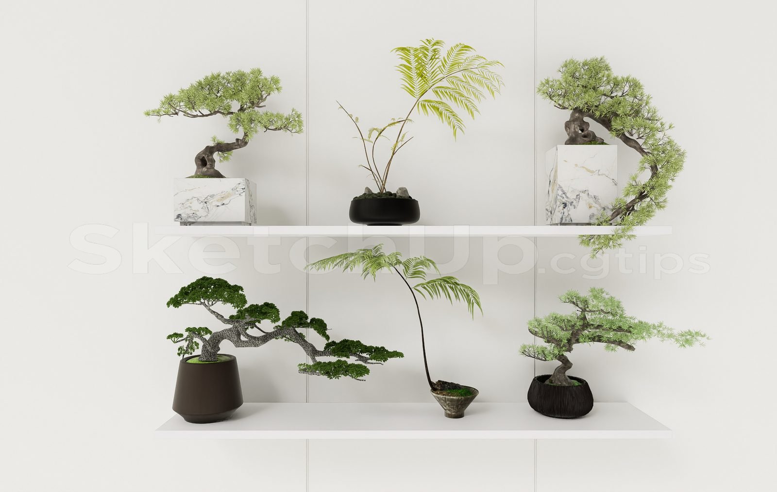 17050. Sketchup Bonsai Tree Model Download (1)