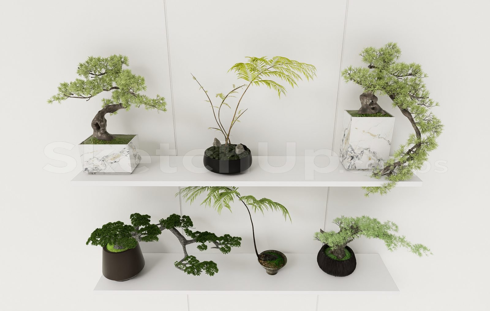 17050. Sketchup Bonsai Tree Model Download (2)