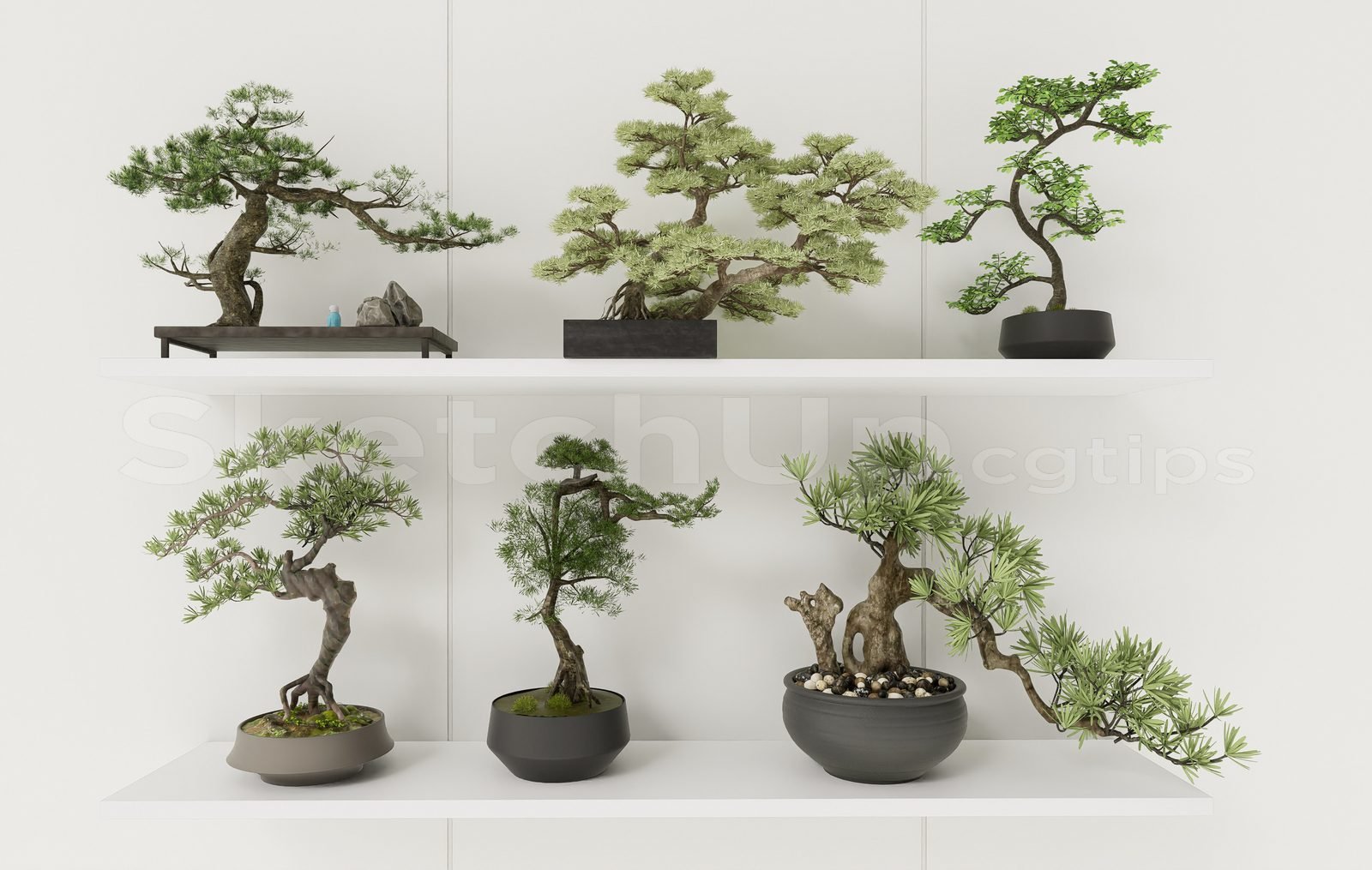 17062. تنزيل طراز شجرة الرسم المجاني Bonsai (1)
