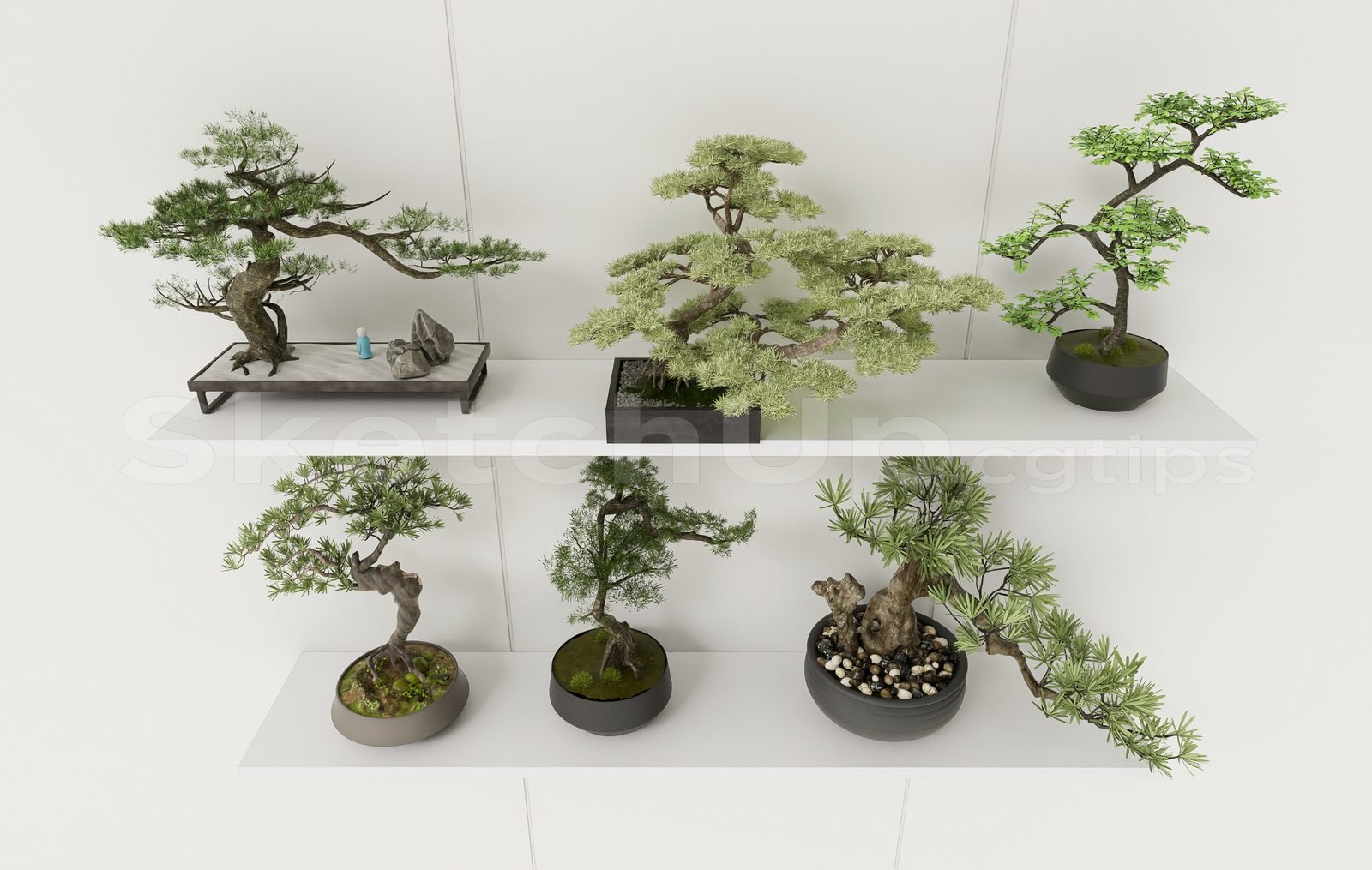 17062. تنزيل نموذج مجاني من Bonsai Tree Model (2)