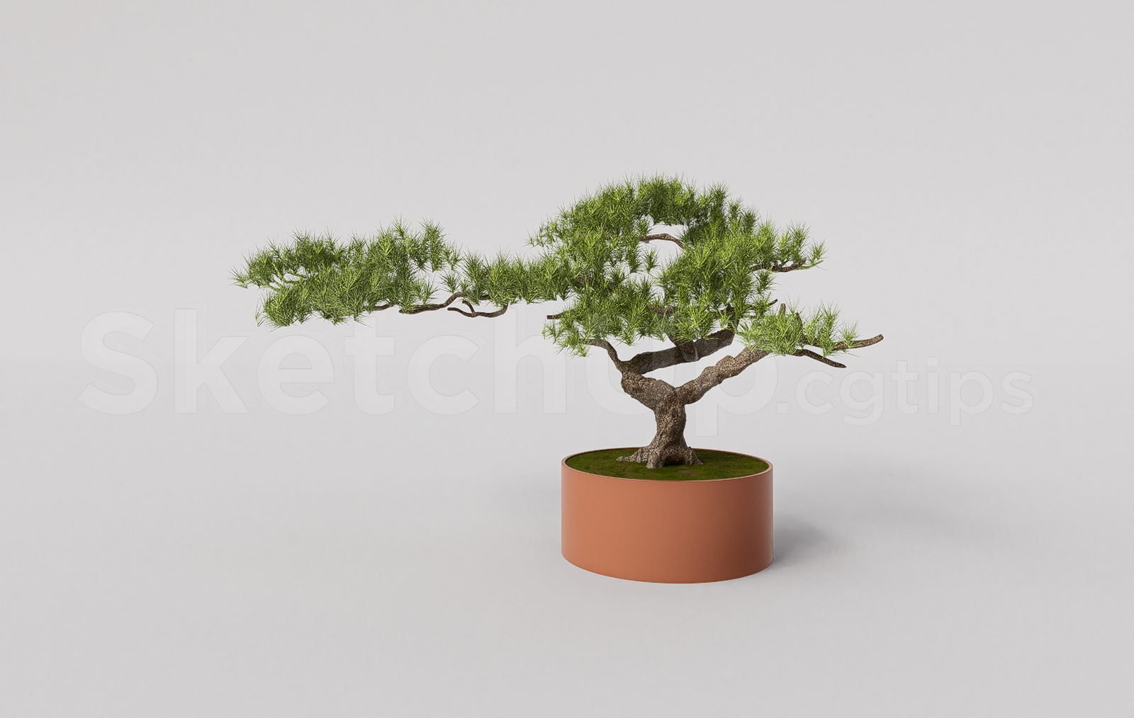 17282. تنزيل نموذج برسم بيونزاي شجرة (2)