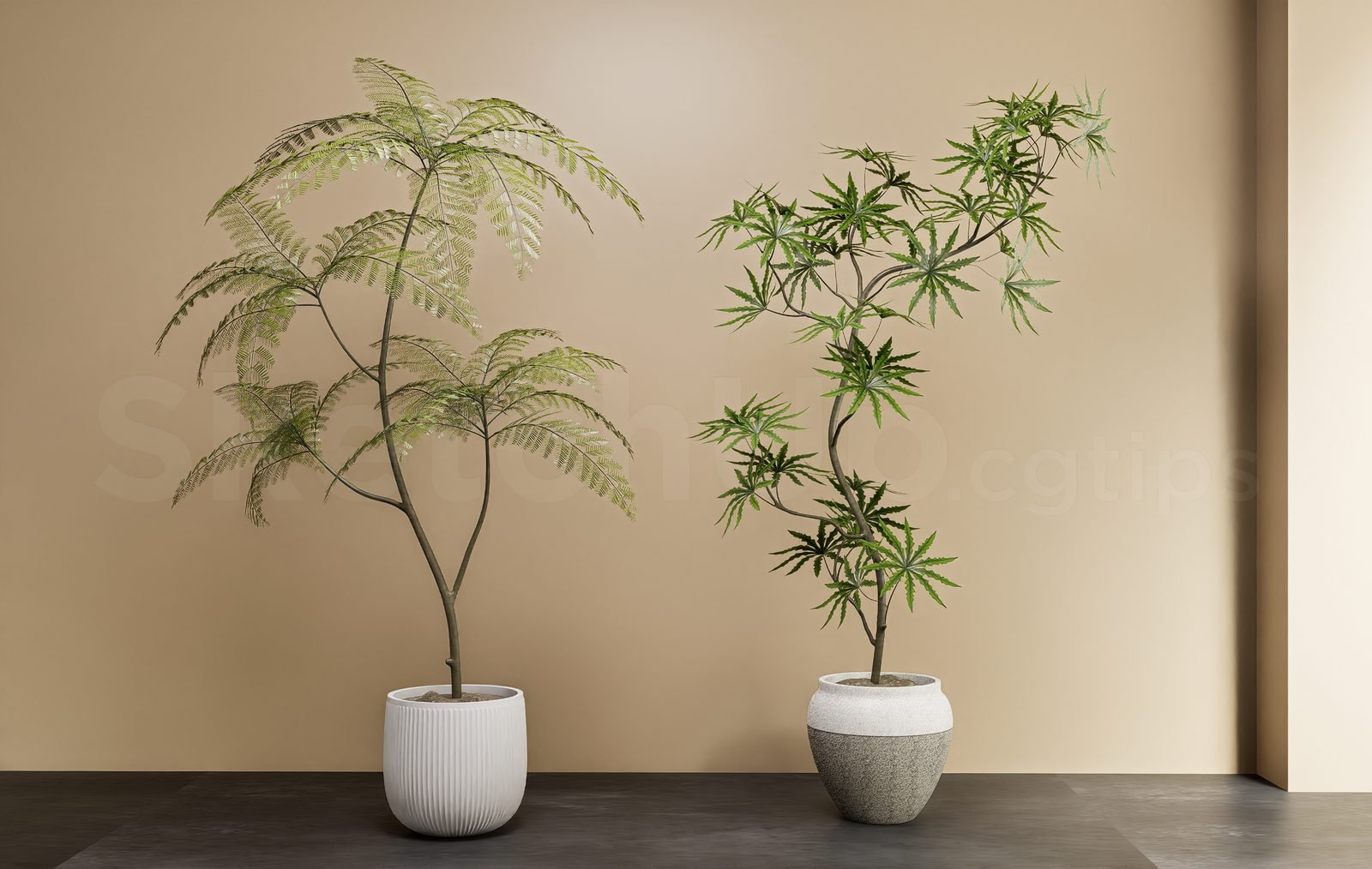 18619. تنزيل نموذج Sketchup Plant المجاني (1)