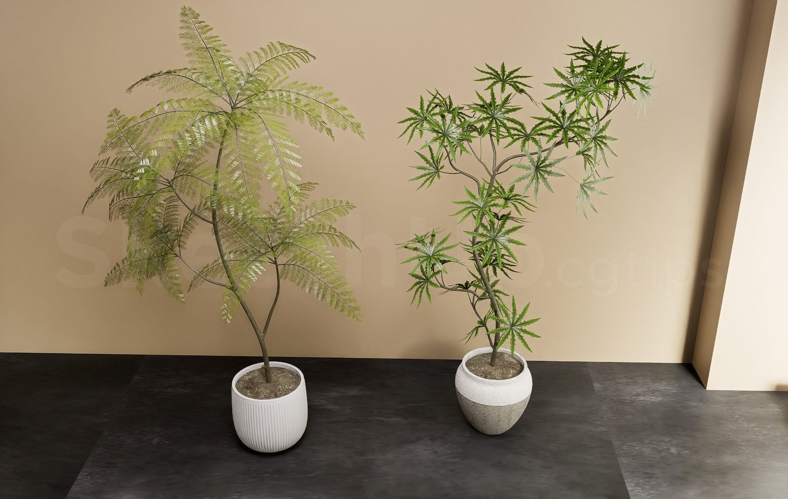 18619. تنزيل نموذج Sketchup Plant المجاني (2)