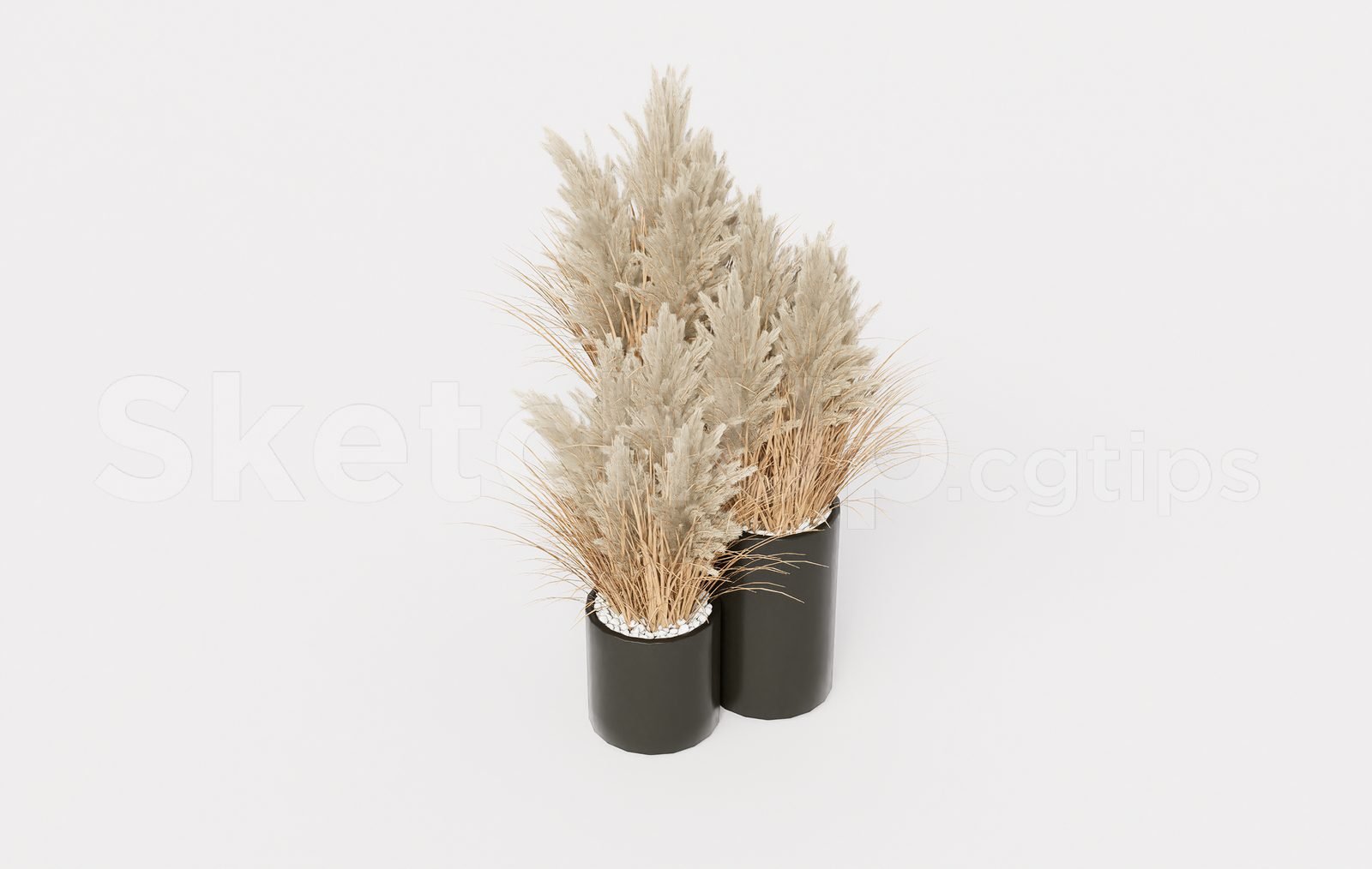 18765. تنزيل نموذج Sketchup Pampas Grass Plant مجانًا (1)