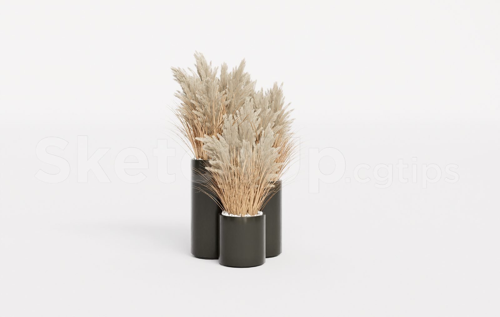 18765. تنزيل نموذج Sketchup Pampas Grass Plant مجانًا (2)