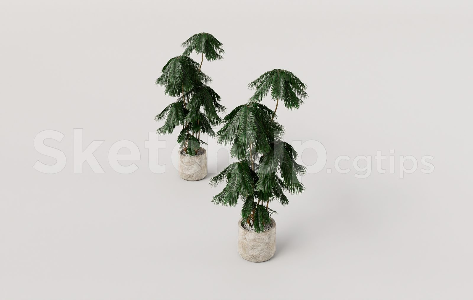 19102. تنزيل نموذج Sketchup Plant المجاني (1)