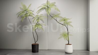 19173. Free Sketchup Plant Model Download (2)