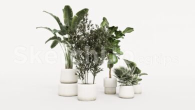 19303. Free Sketchup Plant Model Download (2)