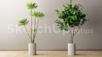 19306. Free Sketchup Plant Model Download (1)