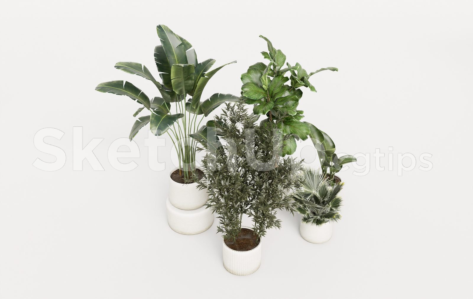 19303. تنزيل نموذج Sketchup Plant المجاني (1)