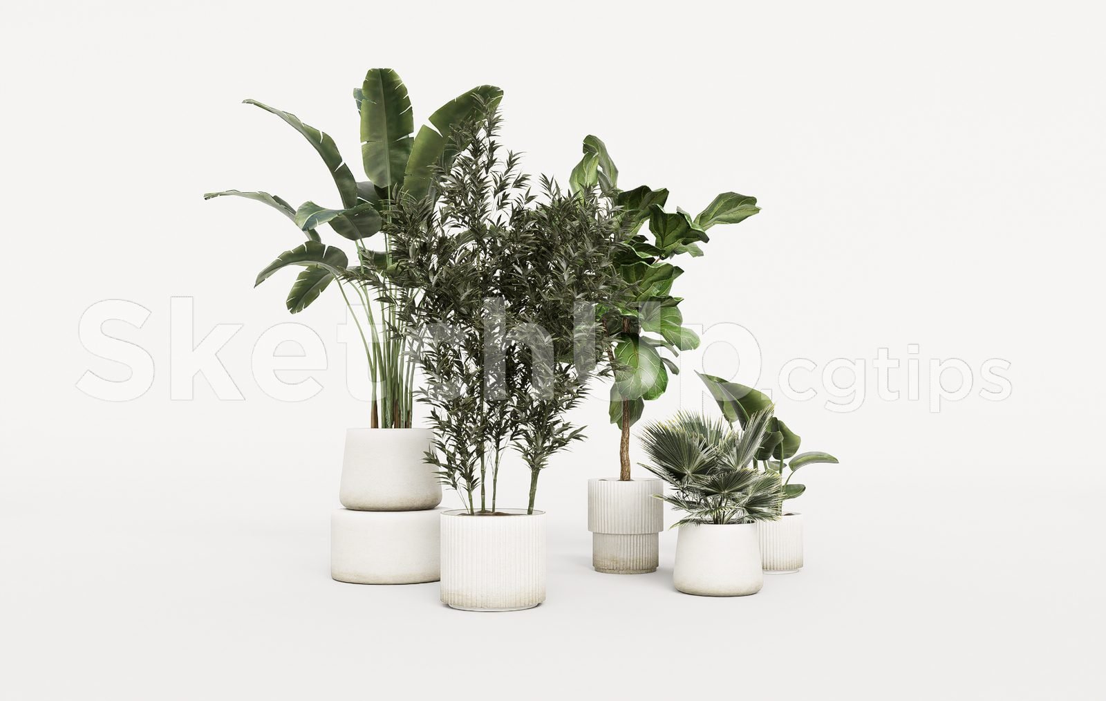 19303. تنزيل نموذج Sketchup Plant المجاني (2)