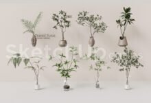 19388. Free Sketchup Plant Model Download (1)