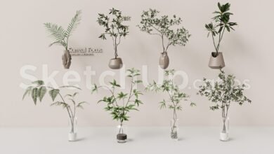 19388. Free Sketchup Plant Model Download (1)