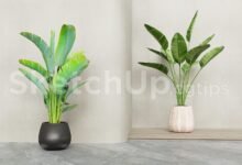 19384. Free Sketchup Plant Model Download (1)