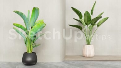 19384. Free Sketchup Plant Model Download (1)